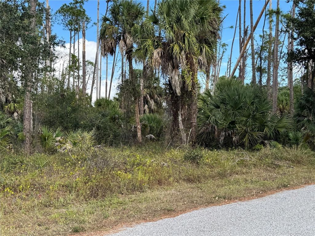 Photo of 17344 Orion Avenue, Port Charlotte, FL 33954 (MLS # D6145268)