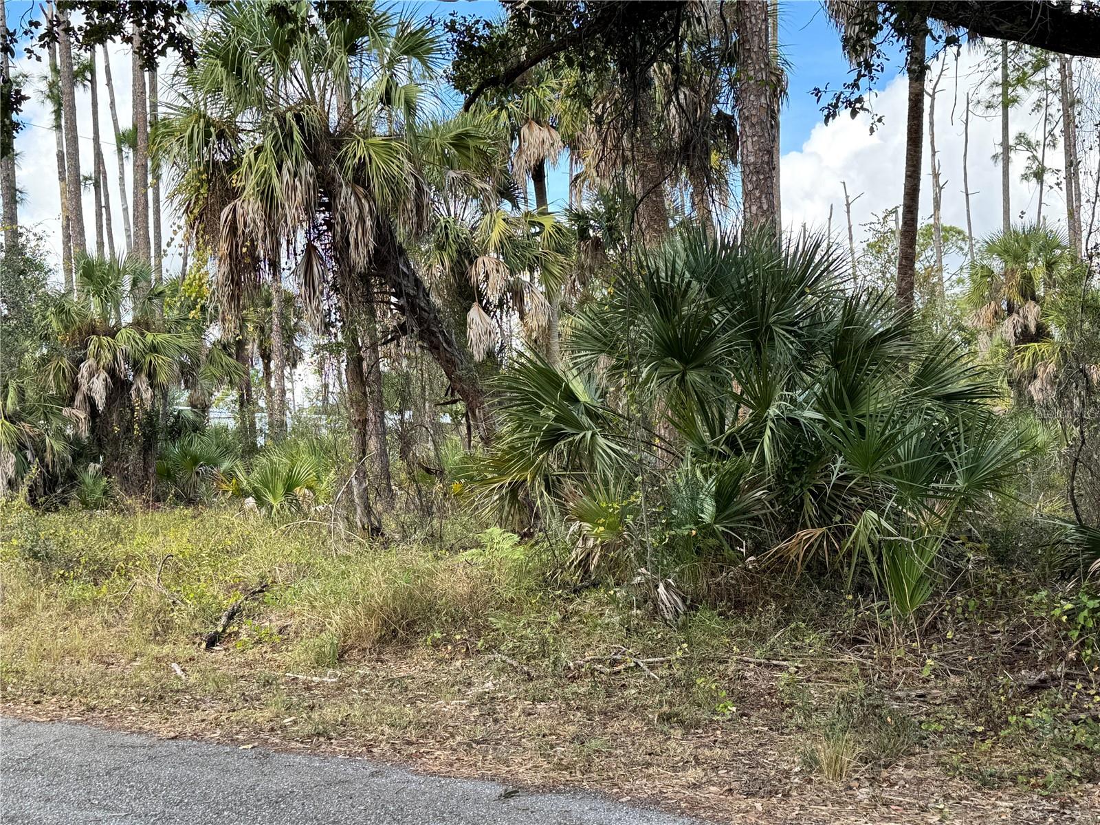 PORT CHARLOTTE SEC 016 - Land