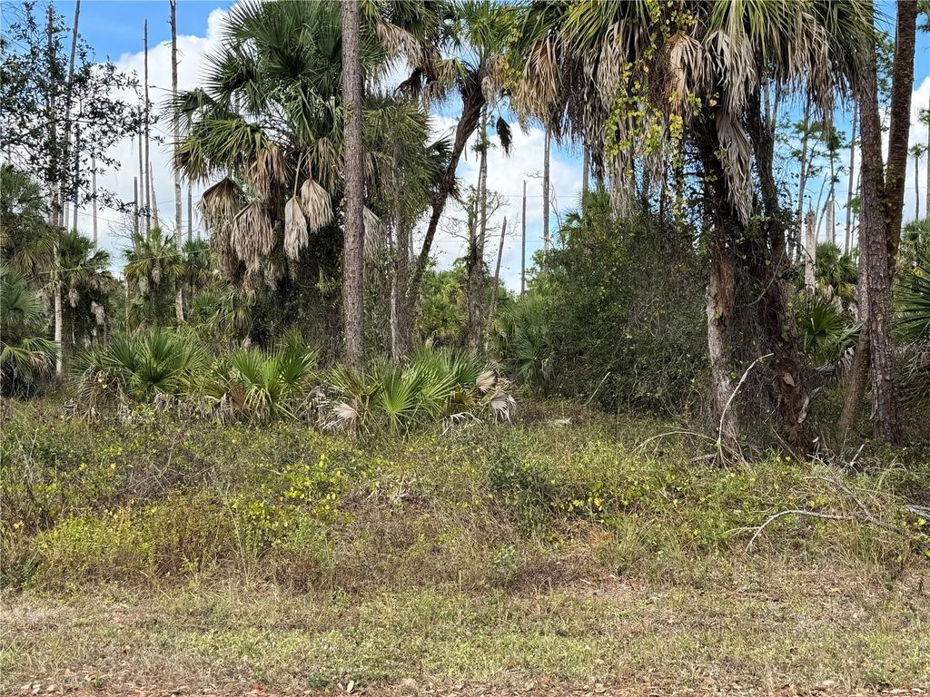 Photo of 17344 Orion Avenue, Port Charlotte, FL 33954 (MLS # D6145268)