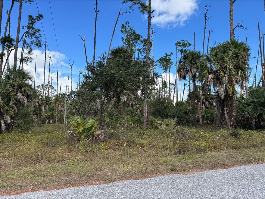 Prime LOCATION to Build your Florida dream home! Welcome to Orion Avenue, nestled off Toledo Blade Blvd in the NW Port Charlotte area. Everything is close by, but the mature trees offer a peaceful and nature-filled setting. NO HOA ~ NO CDD fees! Non Scrub Jay Permit according to County records, and zone FEMA Flood Zone X, which means no flood insurance required when you build. Choose your preferred builder, or hold as investment, this property offers both flexibility and peace of mind for future development. Enjoy convenient access to North Port, Wellen Park, Port Charlotte and Punta Gorda for a wide range of shopping, restaurants, outdoor activities, business opportunities and medical facilities. Stunning Gulf beaches are also just a short drive away. Ideally situated just off US-41, this location offers easy access to I-75, regional and international airports, and so much more! Seller has multiple homesites available, call today for more information.