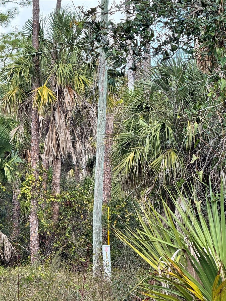 PORT CHARLOTTE SEC 016 - Land