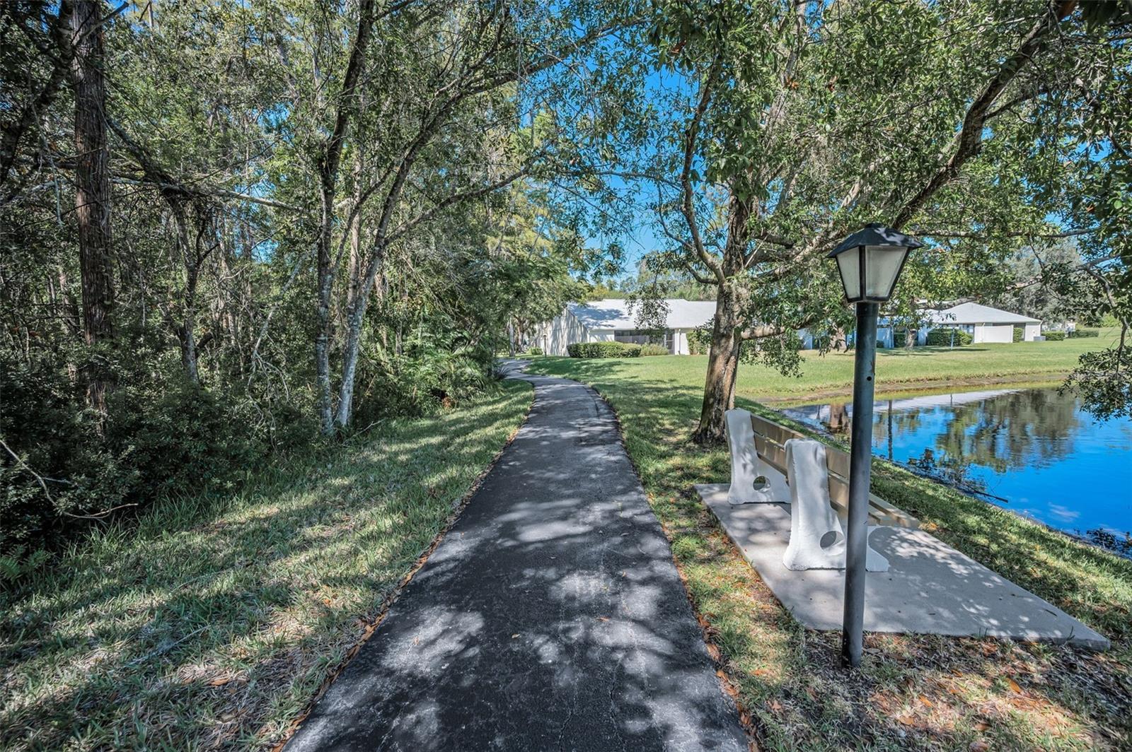 PINE RIDGE AT LAKE TARPON VILLAGE - Residential