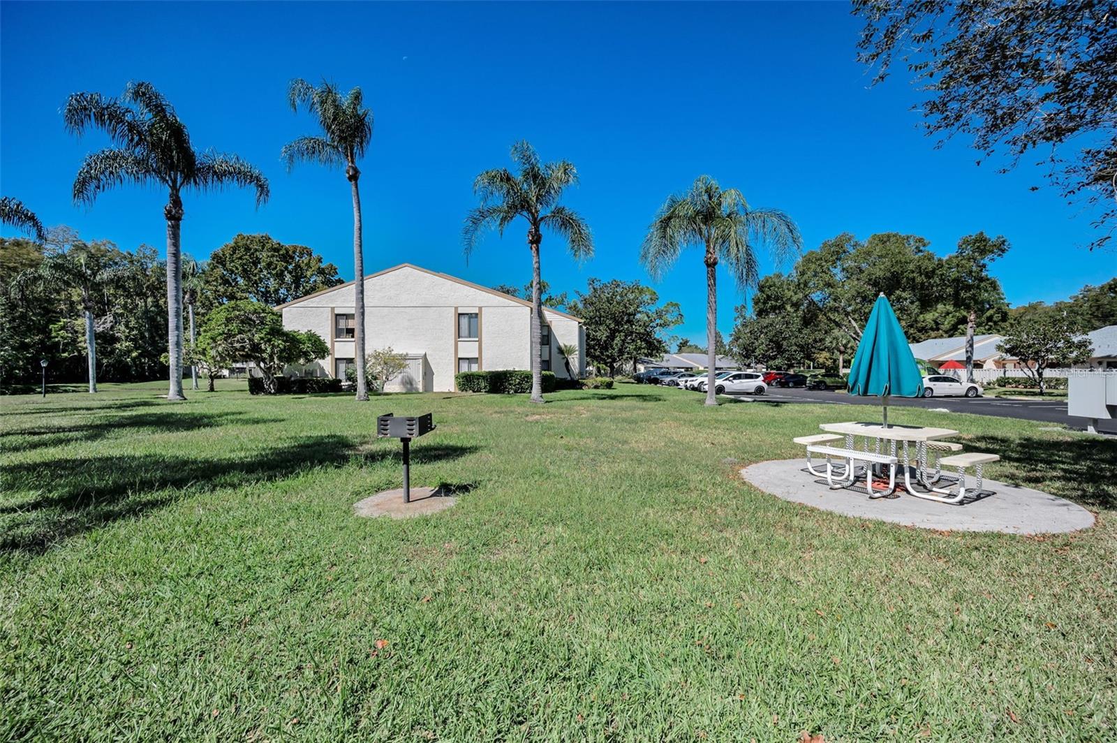PINE RIDGE AT LAKE TARPON VILLAGE - Residential