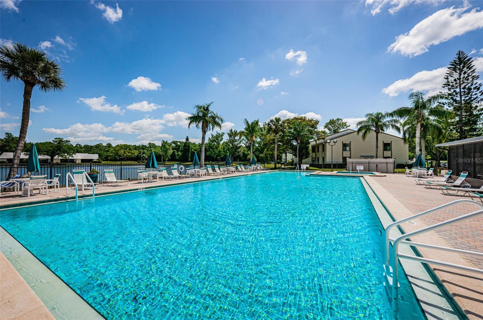 PINE RIDGE AT LAKE TARPON VILLAGE - Residential