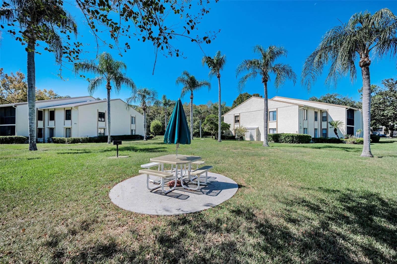 PINE RIDGE AT LAKE TARPON VILLAGE - Residential