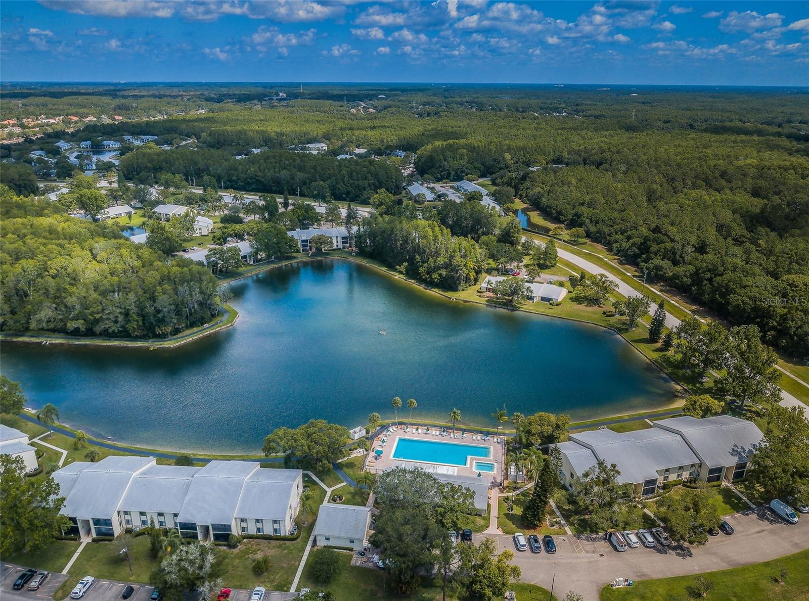 PINE RIDGE AT LAKE TARPON VILLAGE - Residential