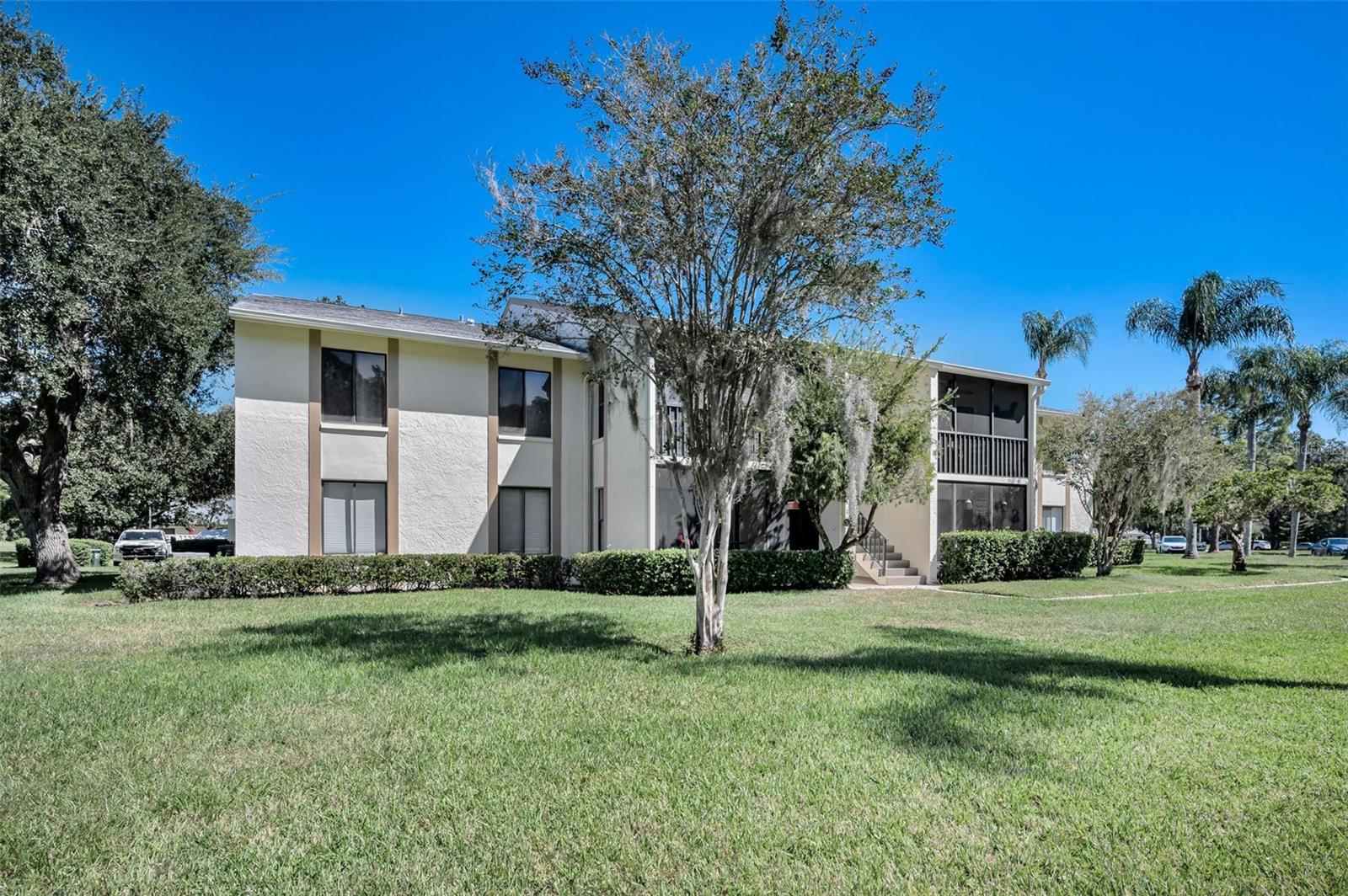 PINE RIDGE AT LAKE TARPON VILLAGE - Residential