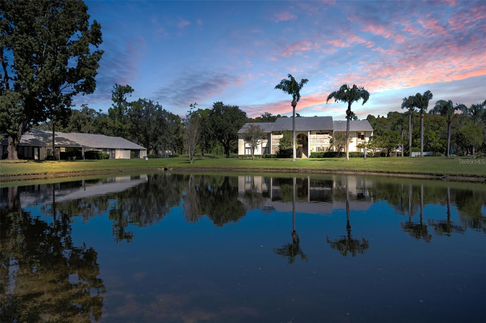 PINE RIDGE AT LAKE TARPON VILLAGE - Residential