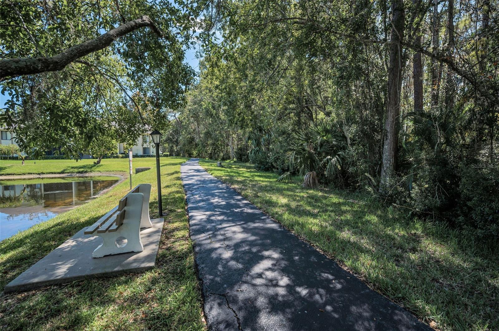 PINE RIDGE AT LAKE TARPON VILLAGE - Residential