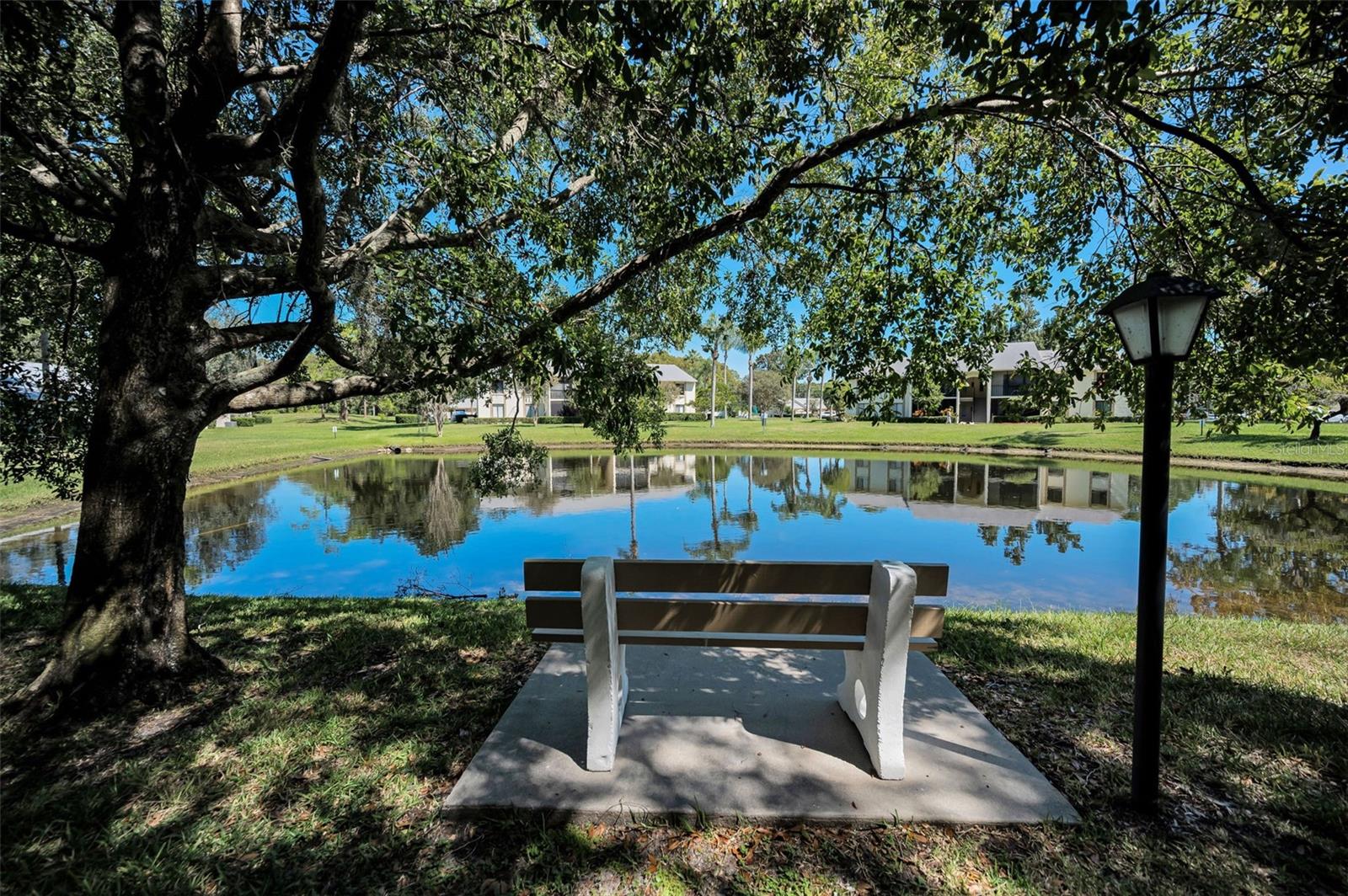 PINE RIDGE AT LAKE TARPON VILLAGE - Residential
