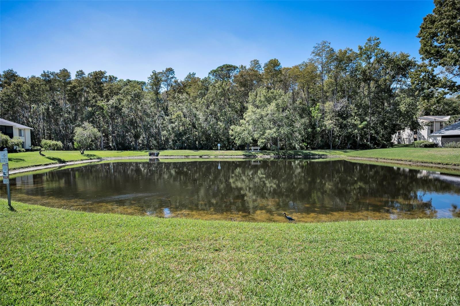 PINE RIDGE AT LAKE TARPON VILLAGE - Residential