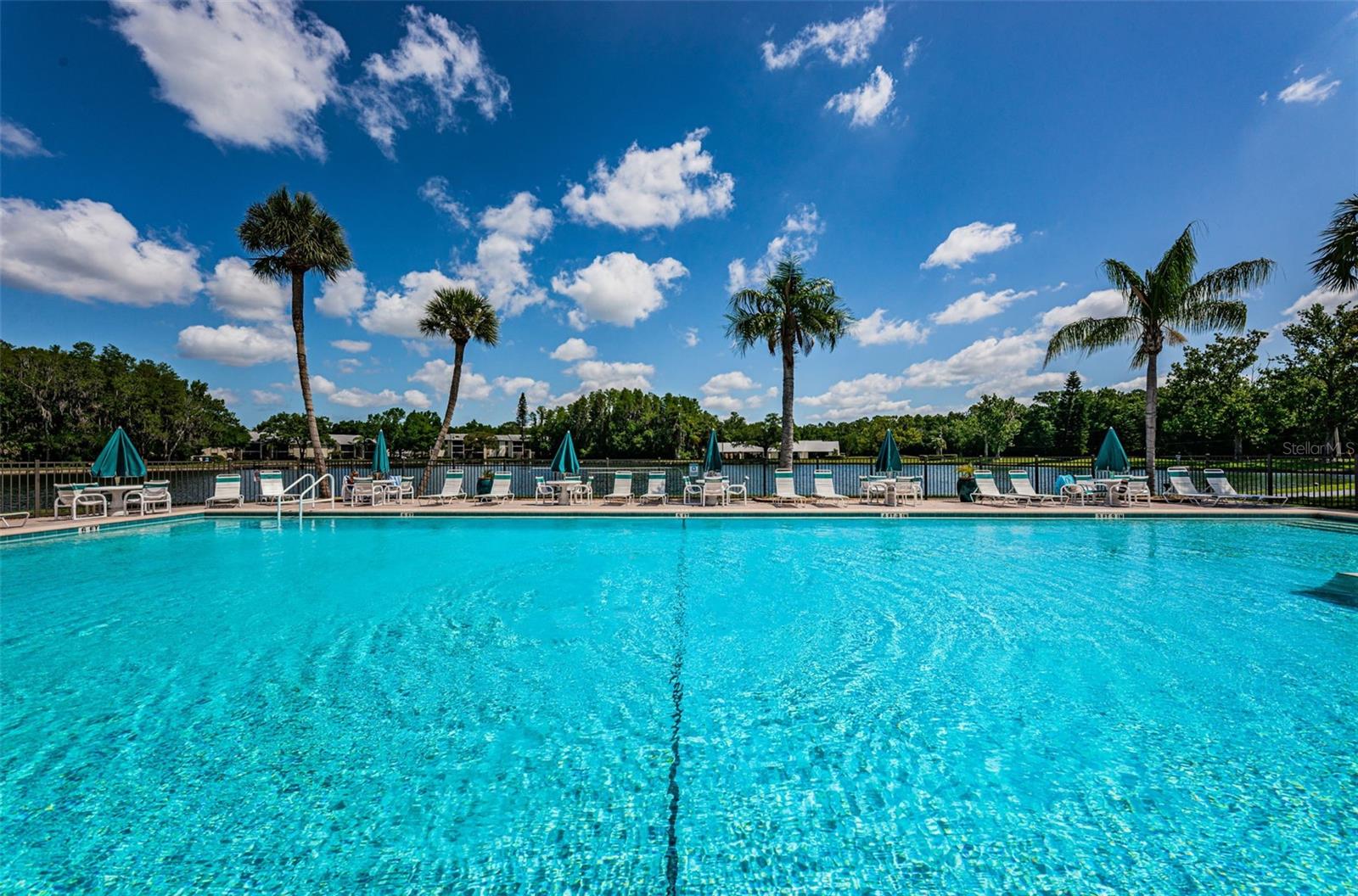 PINE RIDGE AT LAKE TARPON VILLAGE - Residential