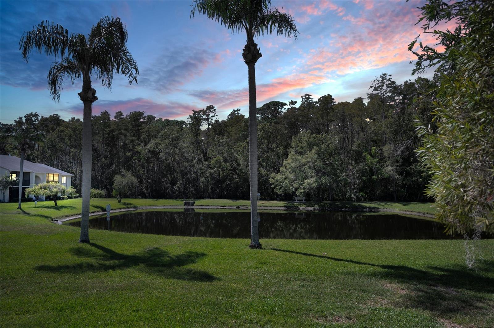 PINE RIDGE AT LAKE TARPON VILLAGE - Residential