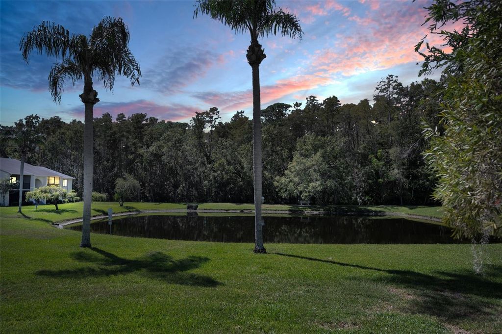 Photo of 1488 Pine Glen Lane #B2, Tarpon Springs, FL 34688 (MLS # TB8439990)