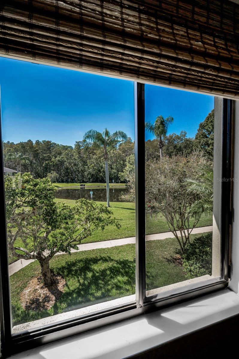 PINE RIDGE AT LAKE TARPON VILLAGE - Residential