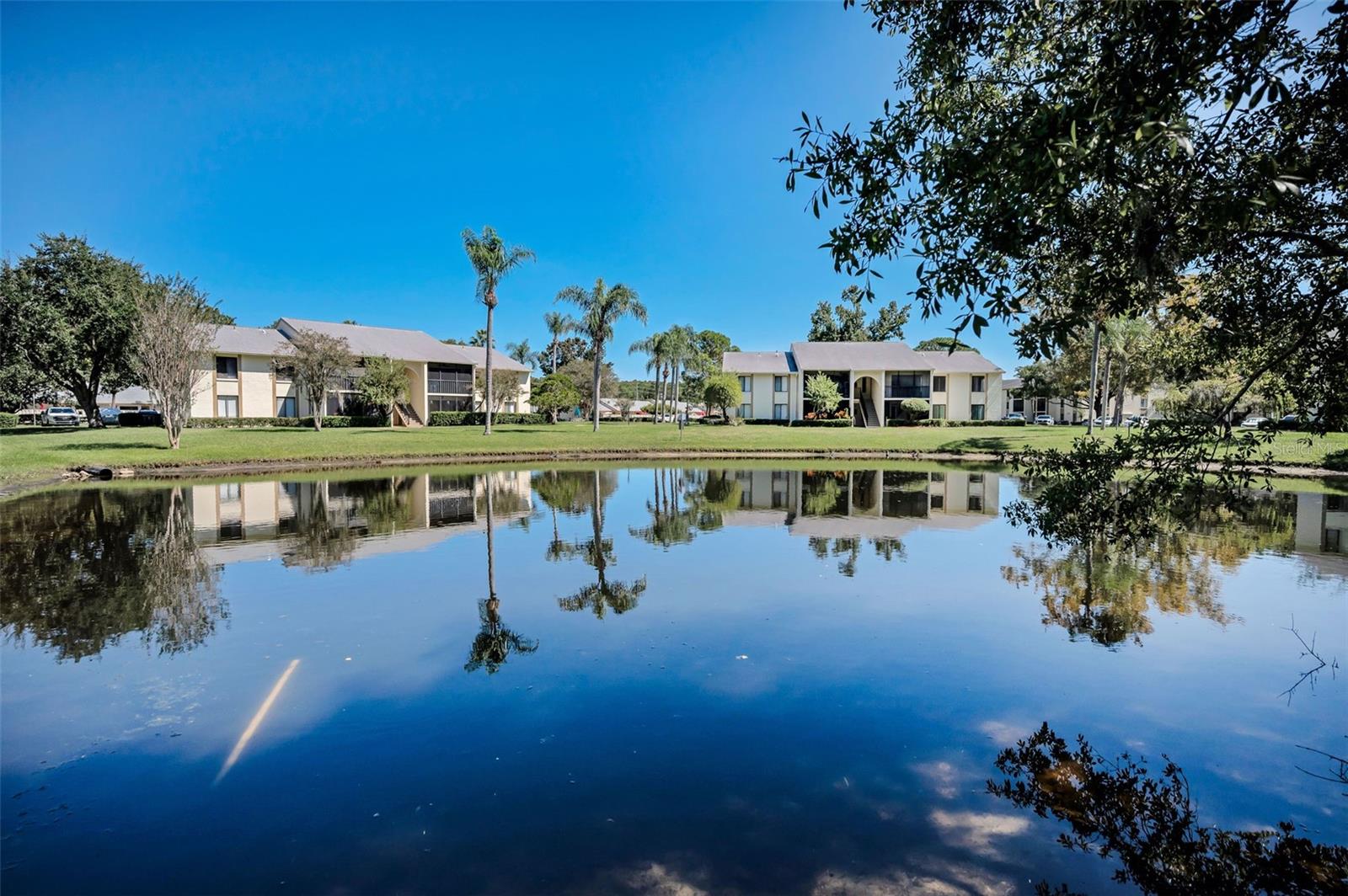 PINE RIDGE AT LAKE TARPON VILLAGE - Residential