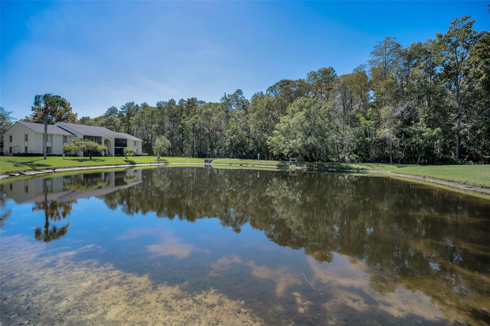 PINE RIDGE AT LAKE TARPON VILLAGE - Residential