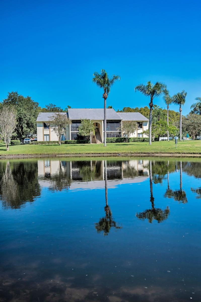 PINE RIDGE AT LAKE TARPON VILLAGE - Residential