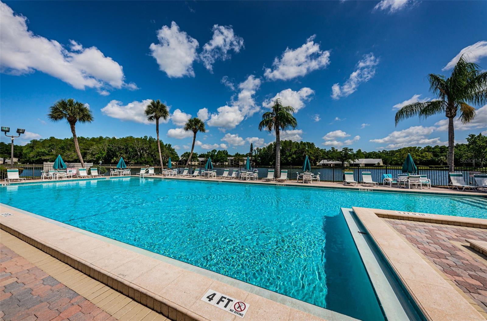 PINE RIDGE AT LAKE TARPON VILLAGE - Residential