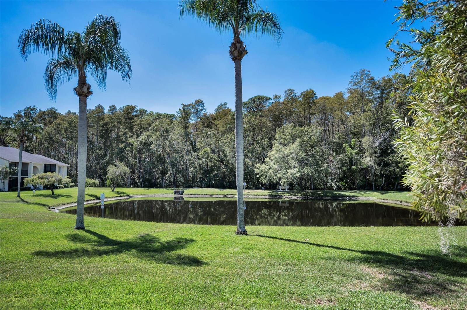PINE RIDGE AT LAKE TARPON VILLAGE - Residential