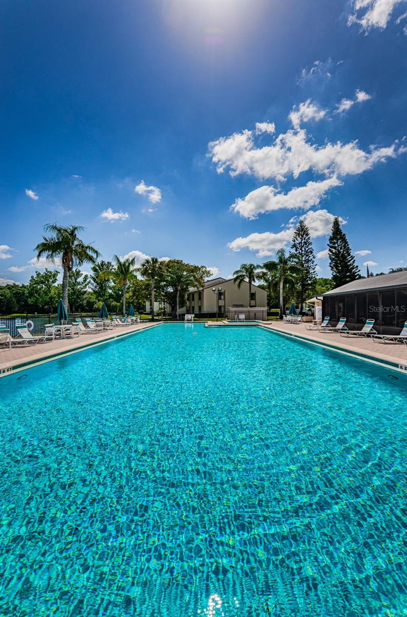 PINE RIDGE AT LAKE TARPON VILLAGE - Residential