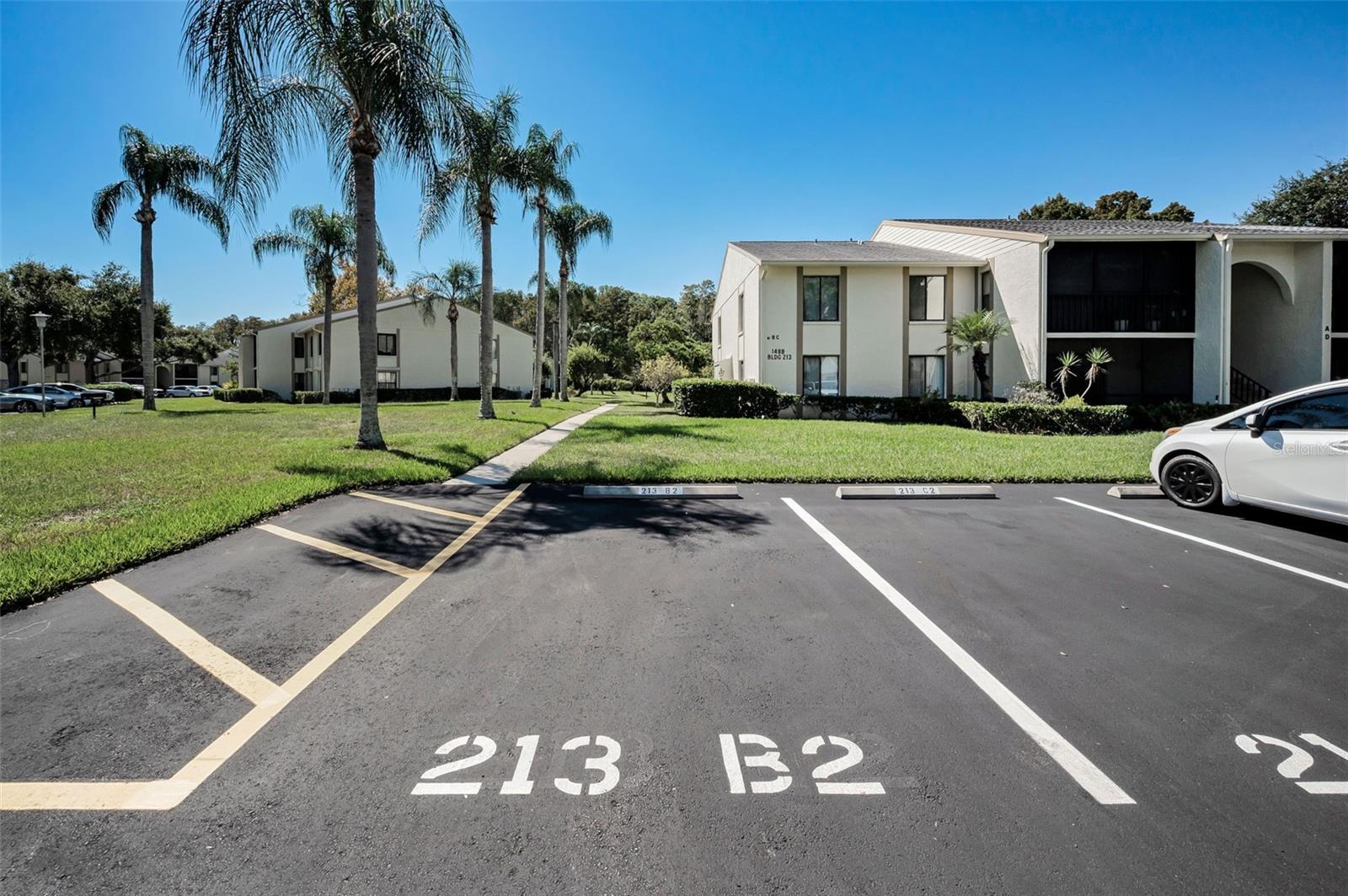 PINE RIDGE AT LAKE TARPON VILLAGE - Residential