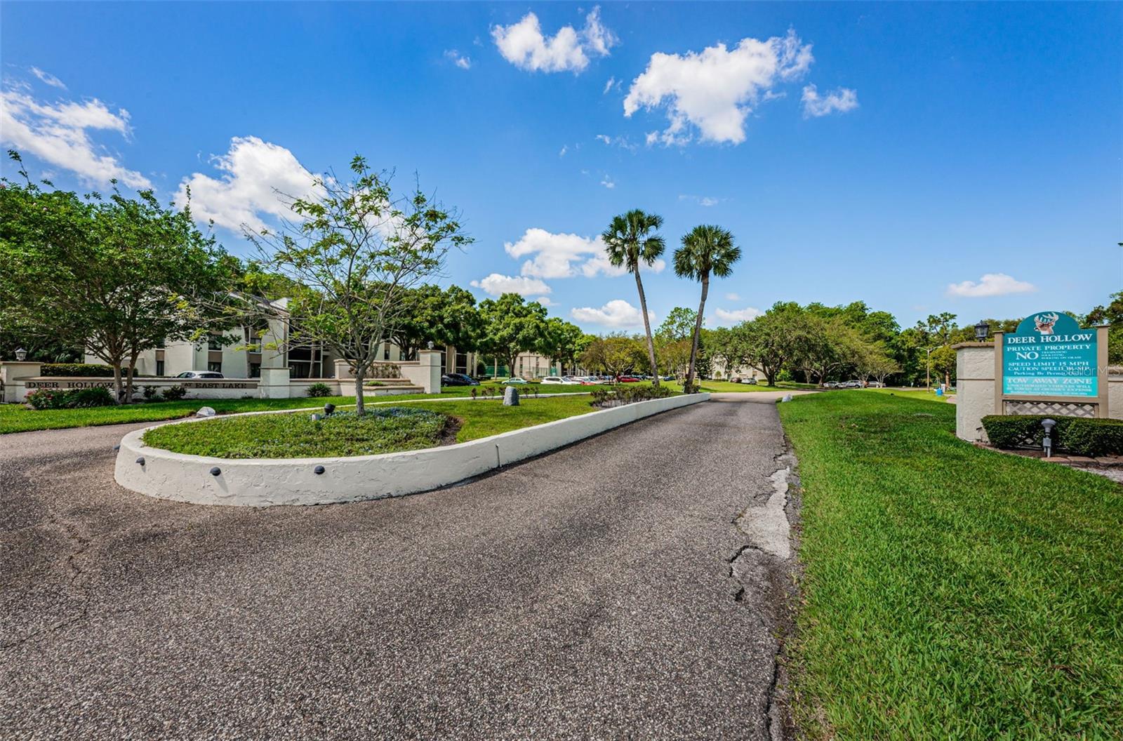 PINE RIDGE AT LAKE TARPON VILLAGE - Residential