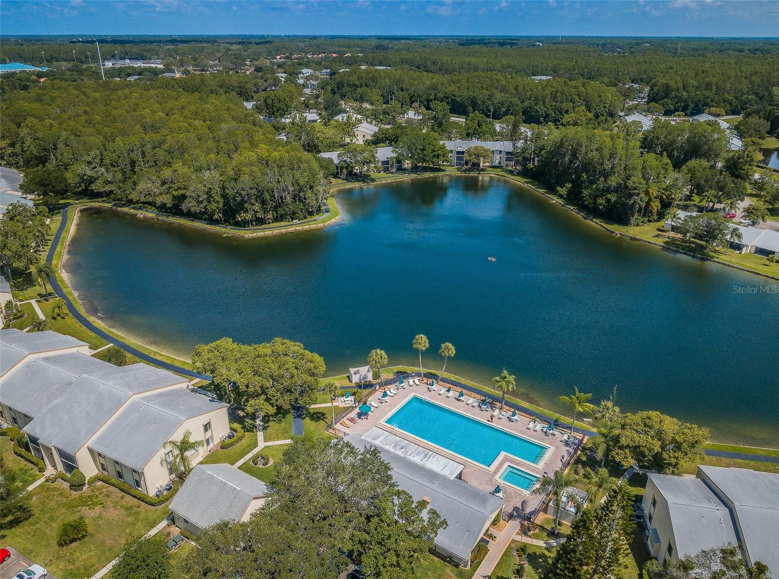 PINE RIDGE AT LAKE TARPON VILLAGE - Residential