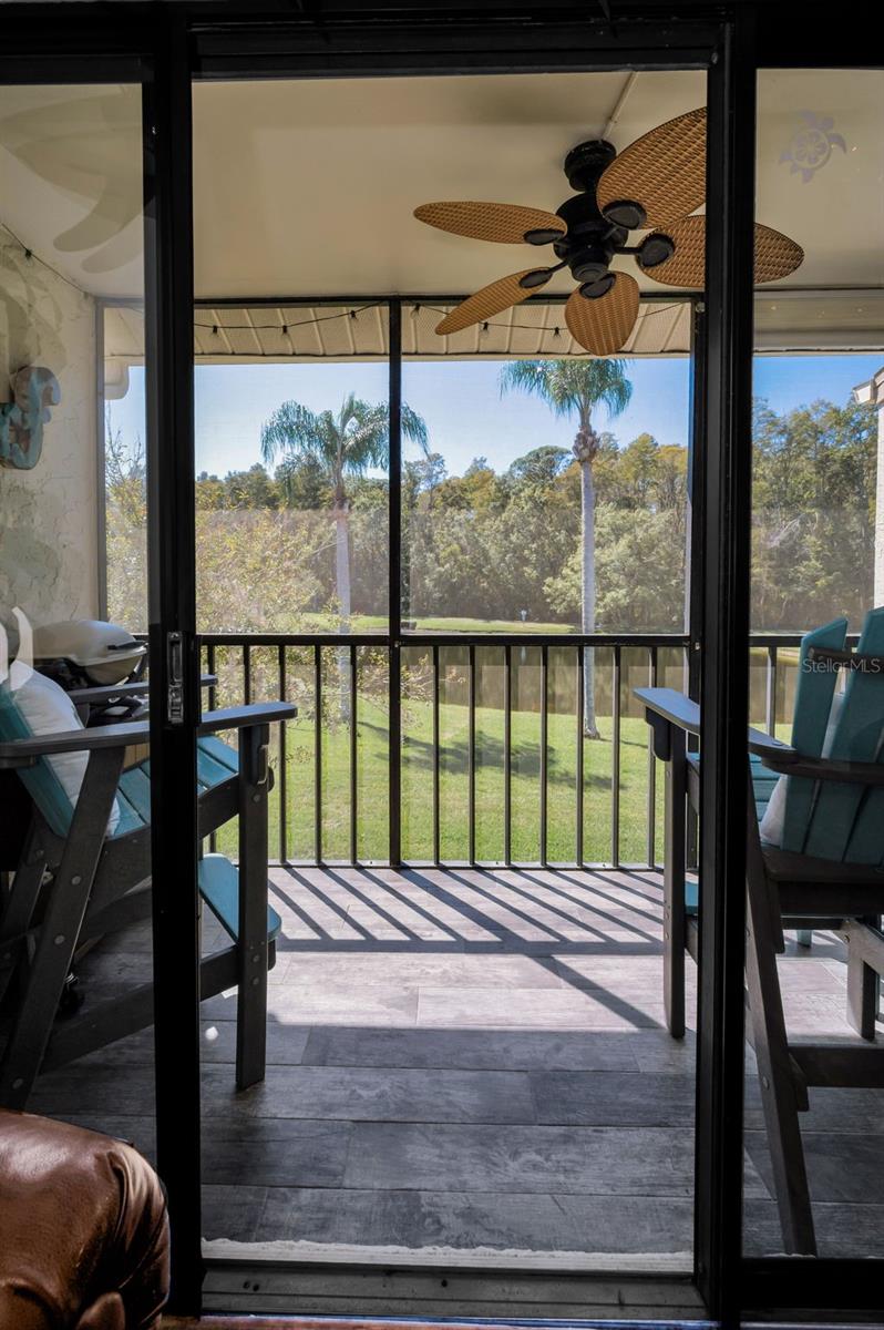 PINE RIDGE AT LAKE TARPON VILLAGE - Residential