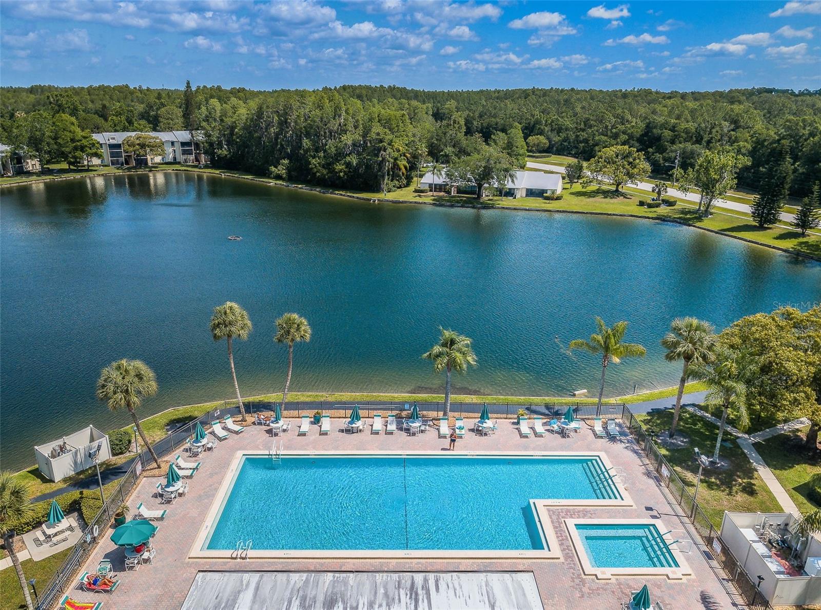 PINE RIDGE AT LAKE TARPON VILLAGE - Residential