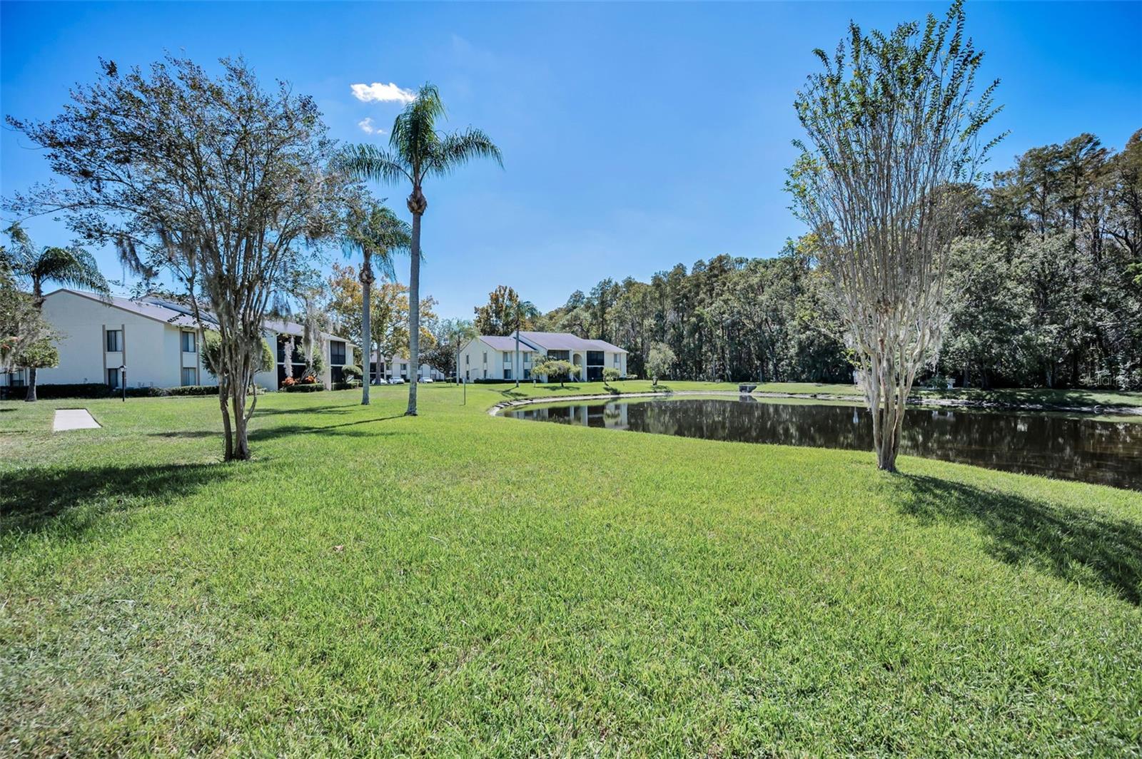 PINE RIDGE AT LAKE TARPON VILLAGE - Residential
