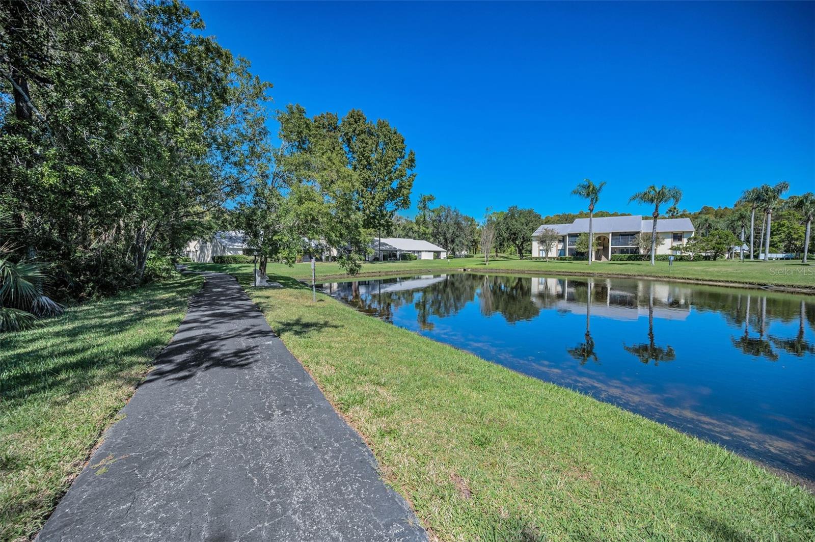PINE RIDGE AT LAKE TARPON VILLAGE - Residential
