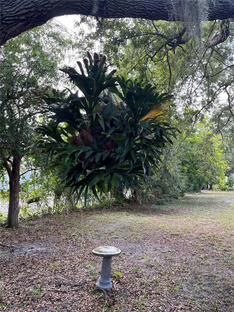 903 ANDERSON ROAD