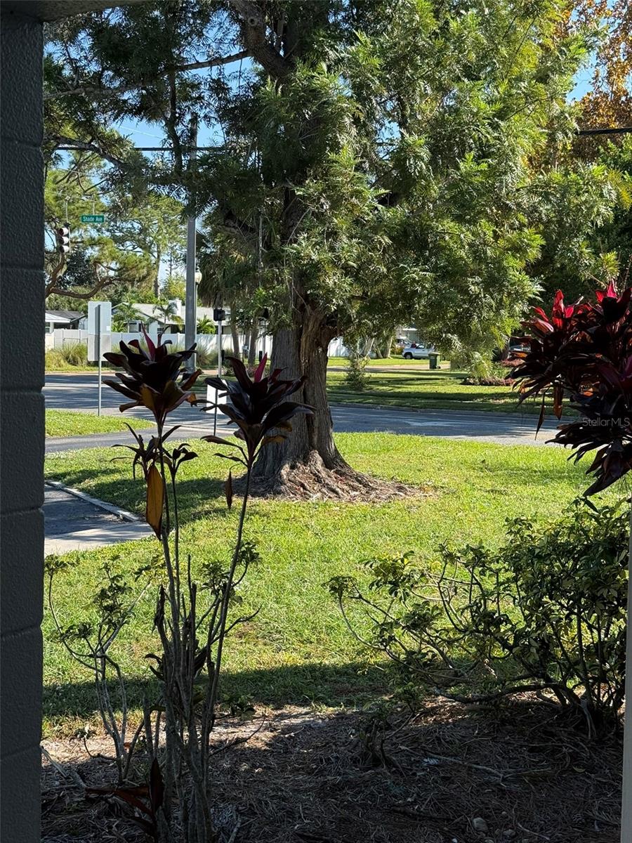 GARDEN APTS - Residential