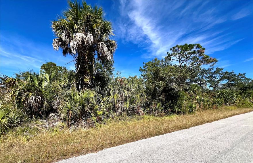 PRICED TO SELL! A big, beautiful slice of Florida living, ready for your vision. Build your Florida dream home on this approx. 1 acre homesite. A rare larger parcel in a tucked-away residential pocket, close to US-19, Hudson Beach, marinas, dining, and everyday conveniences yet peacefully set back from the bustle. Buyer to verify all zoning and building requirements/restrictions, as well as availability of utilities and all other relevant information.