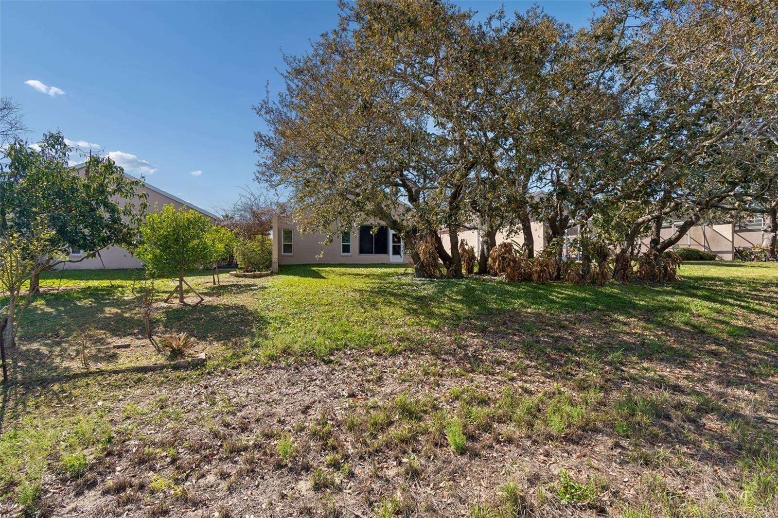 PALMS AT SEVEN HILLS - Residential