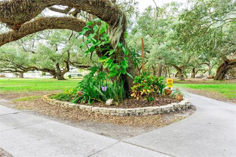 A home in ZEPHYRHILLS