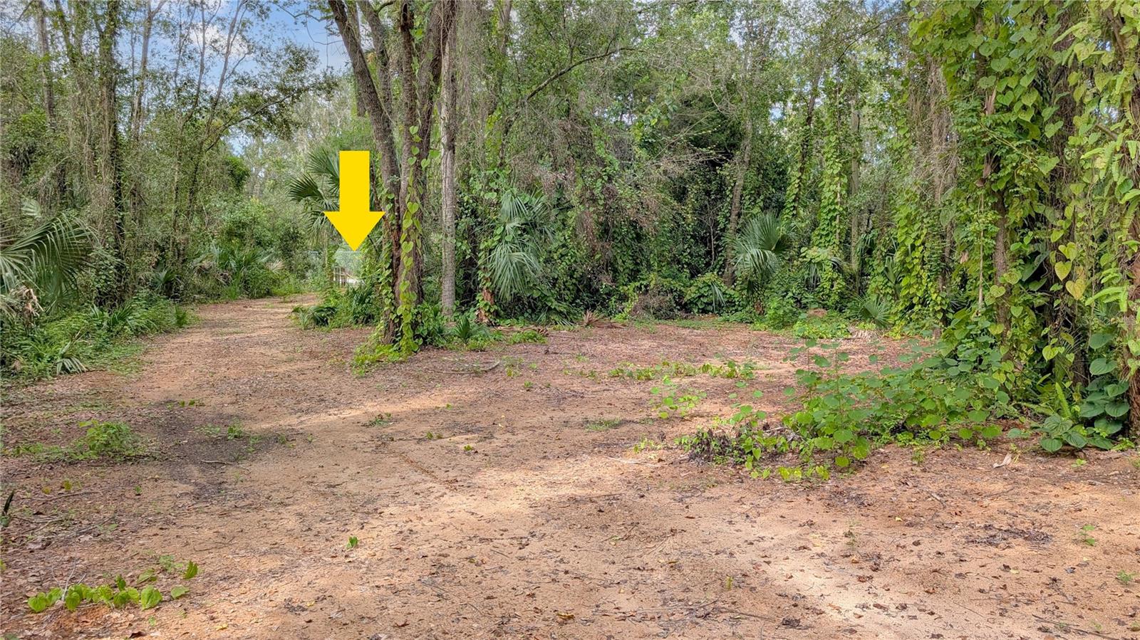 CHRISTMAS PARK 1ST ADD - Land