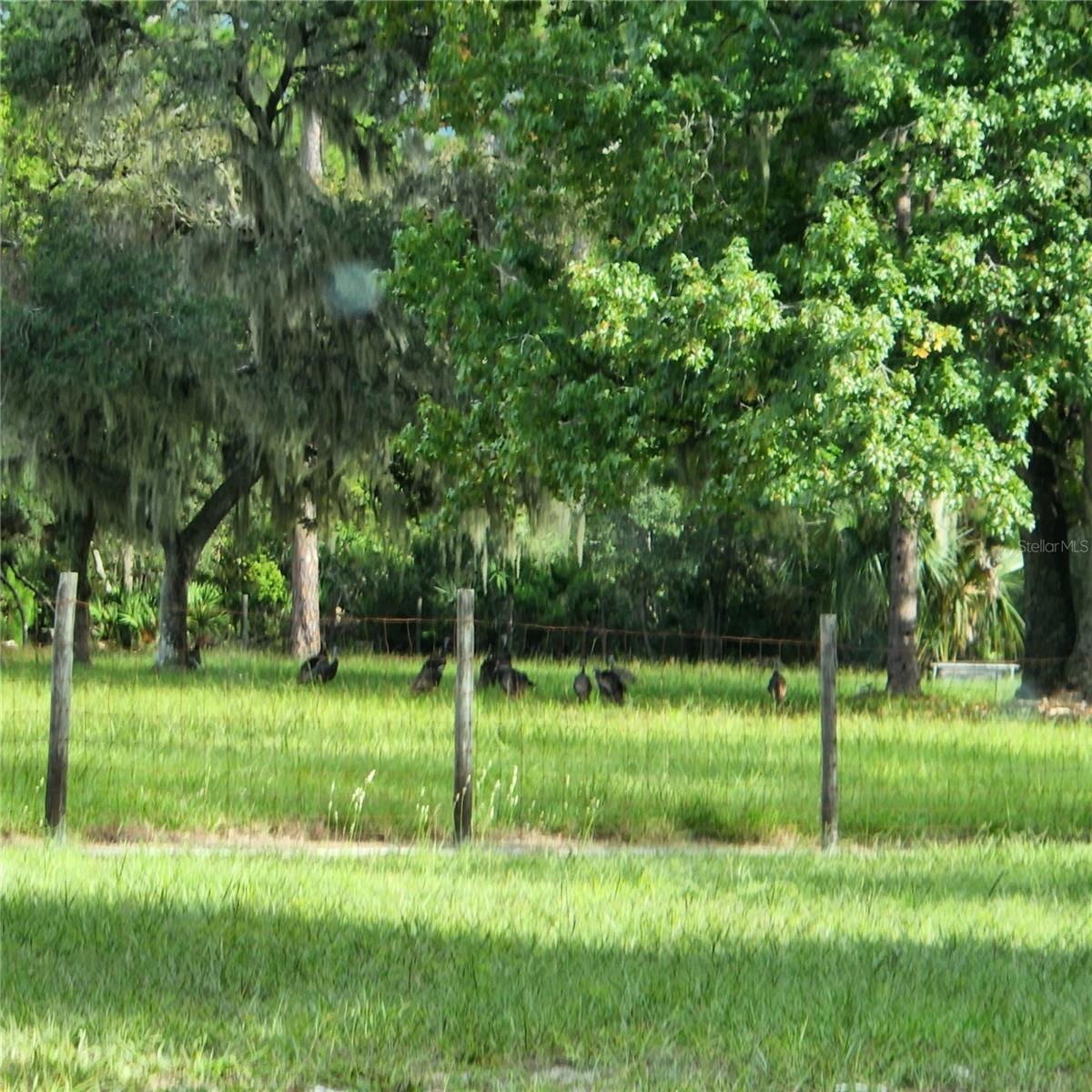 FRST LAKES & HILLS ADD 02 - Residential