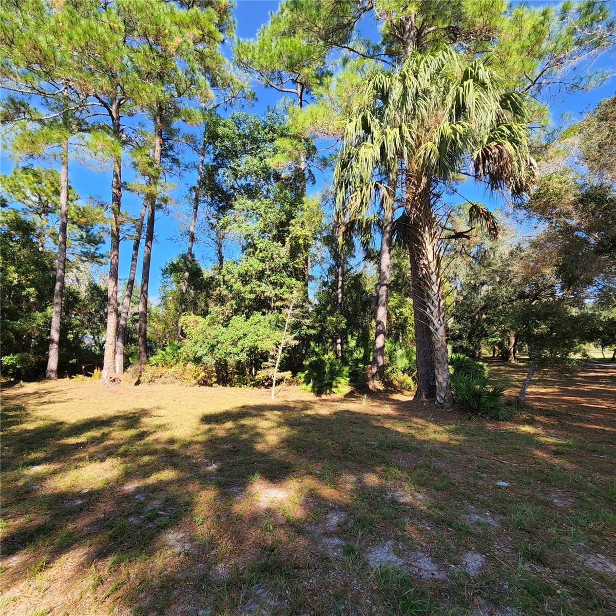 FRST LAKES & HILLS ADD 02 - Residential