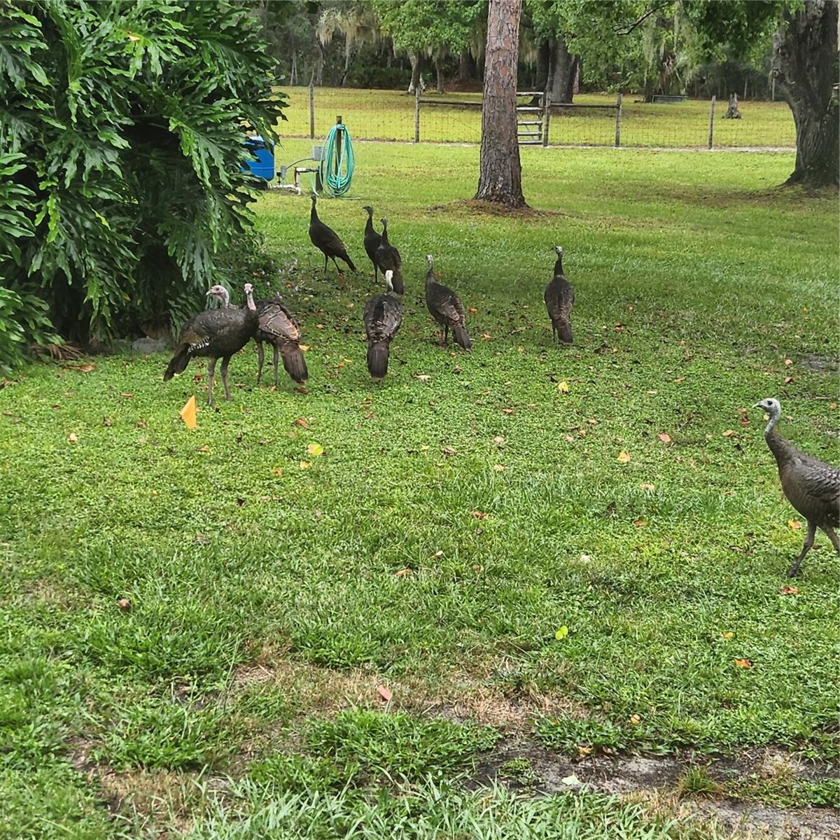 FRST LAKES & HILLS ADD 02 - Residential