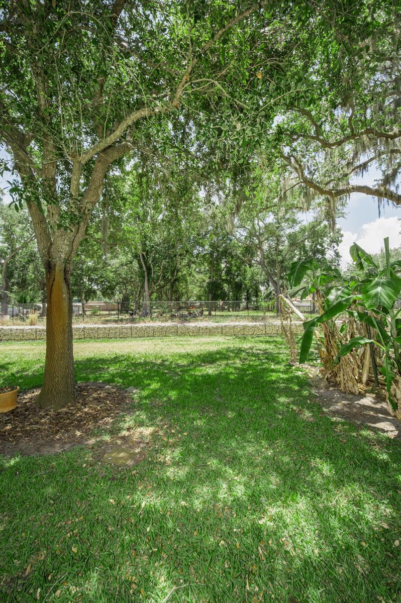 CYPRESS TRACE - Residential