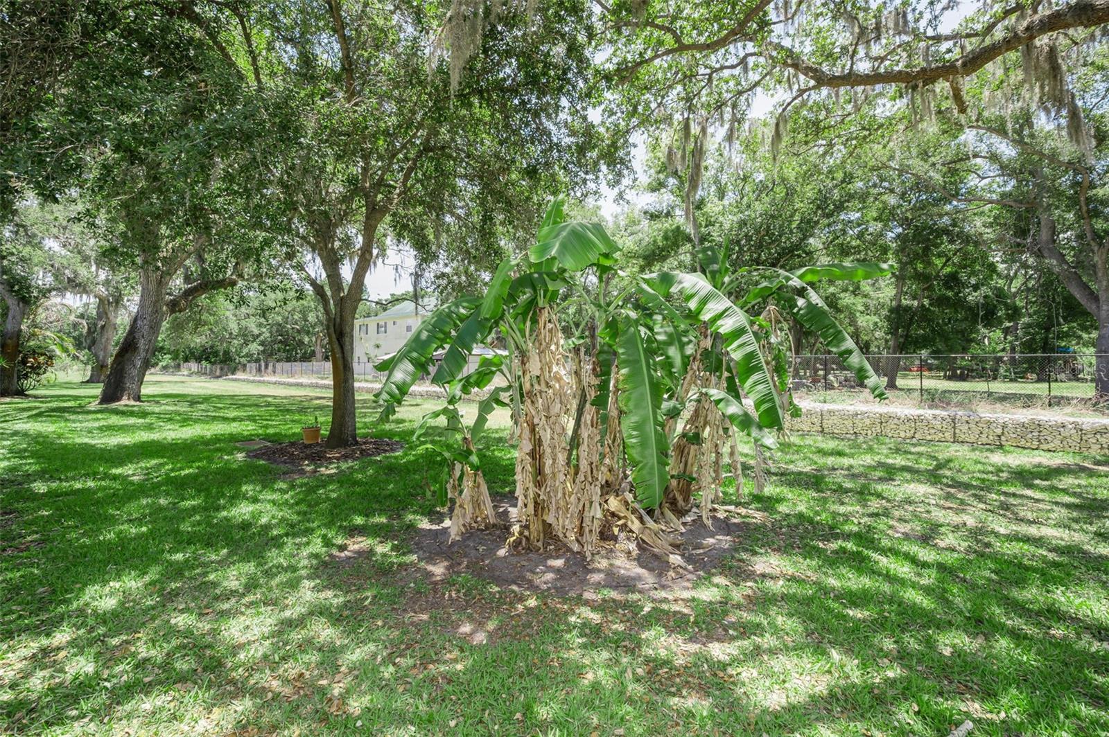 CYPRESS TRACE - Residential