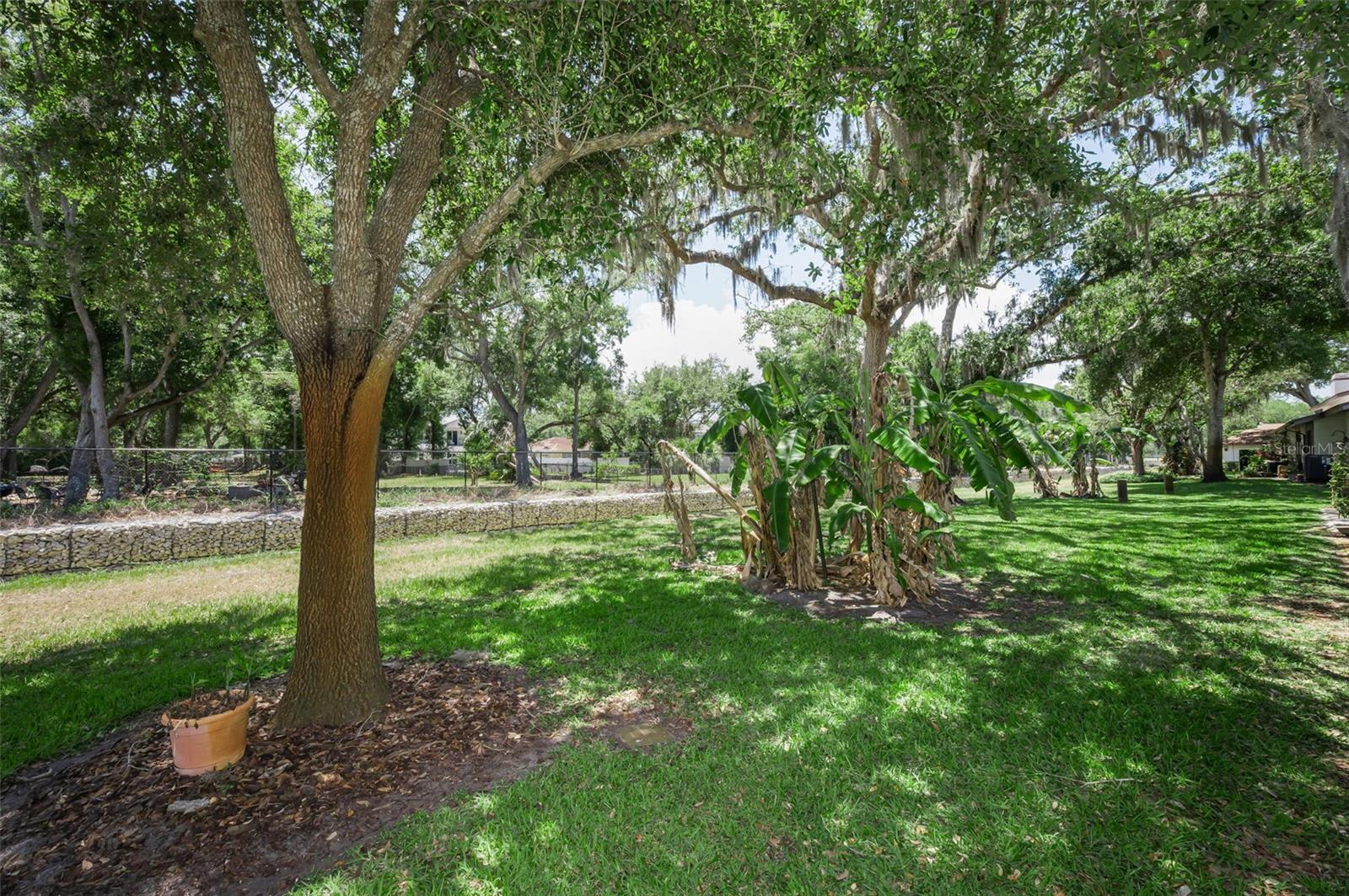 CYPRESS TRACE - Residential