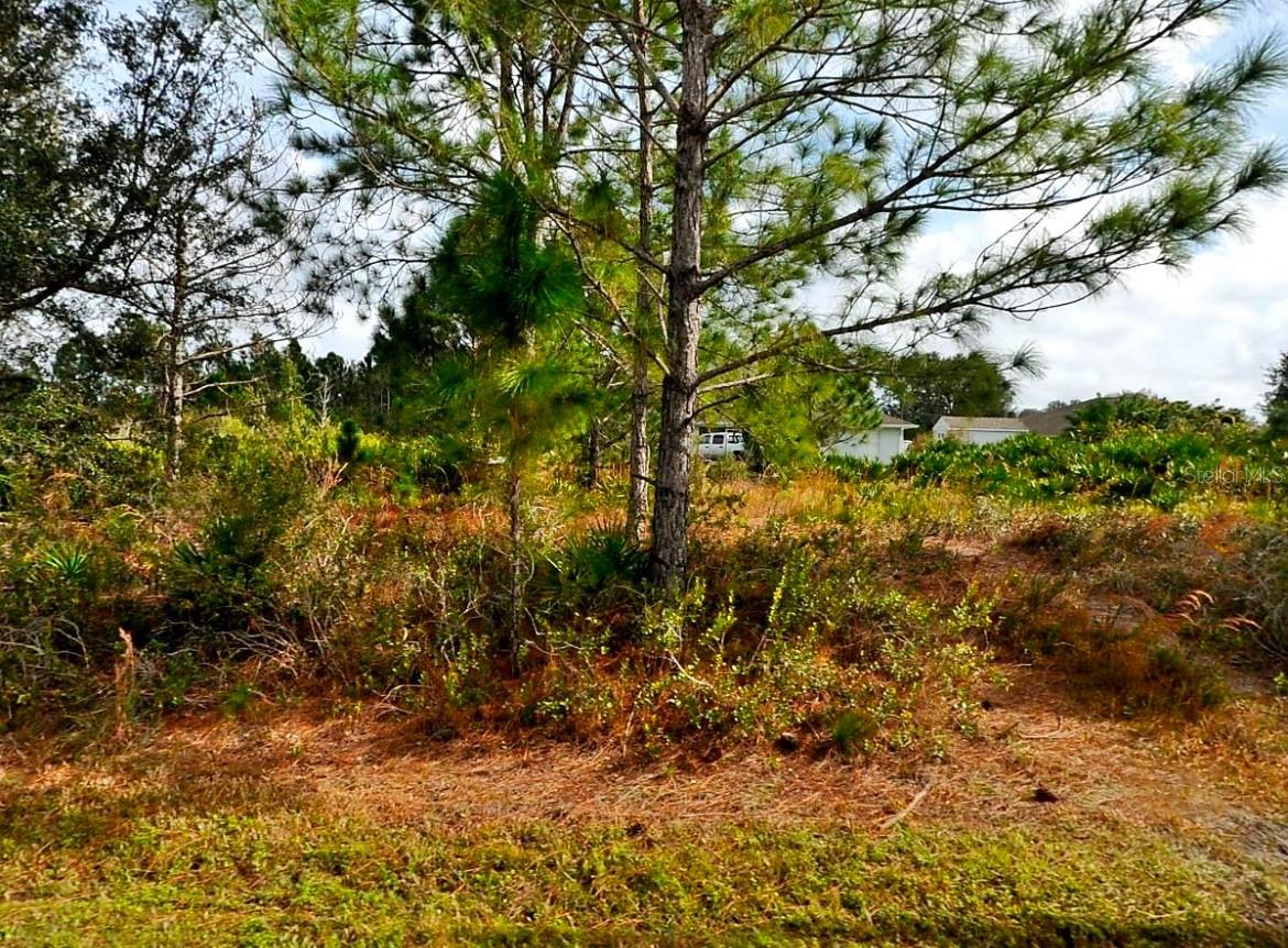 PORT CHARLOTTE SUB 14 - Land