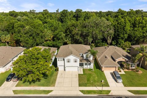 Property photo of 247 Magnolia Park Trail, Sanford, FL 32773