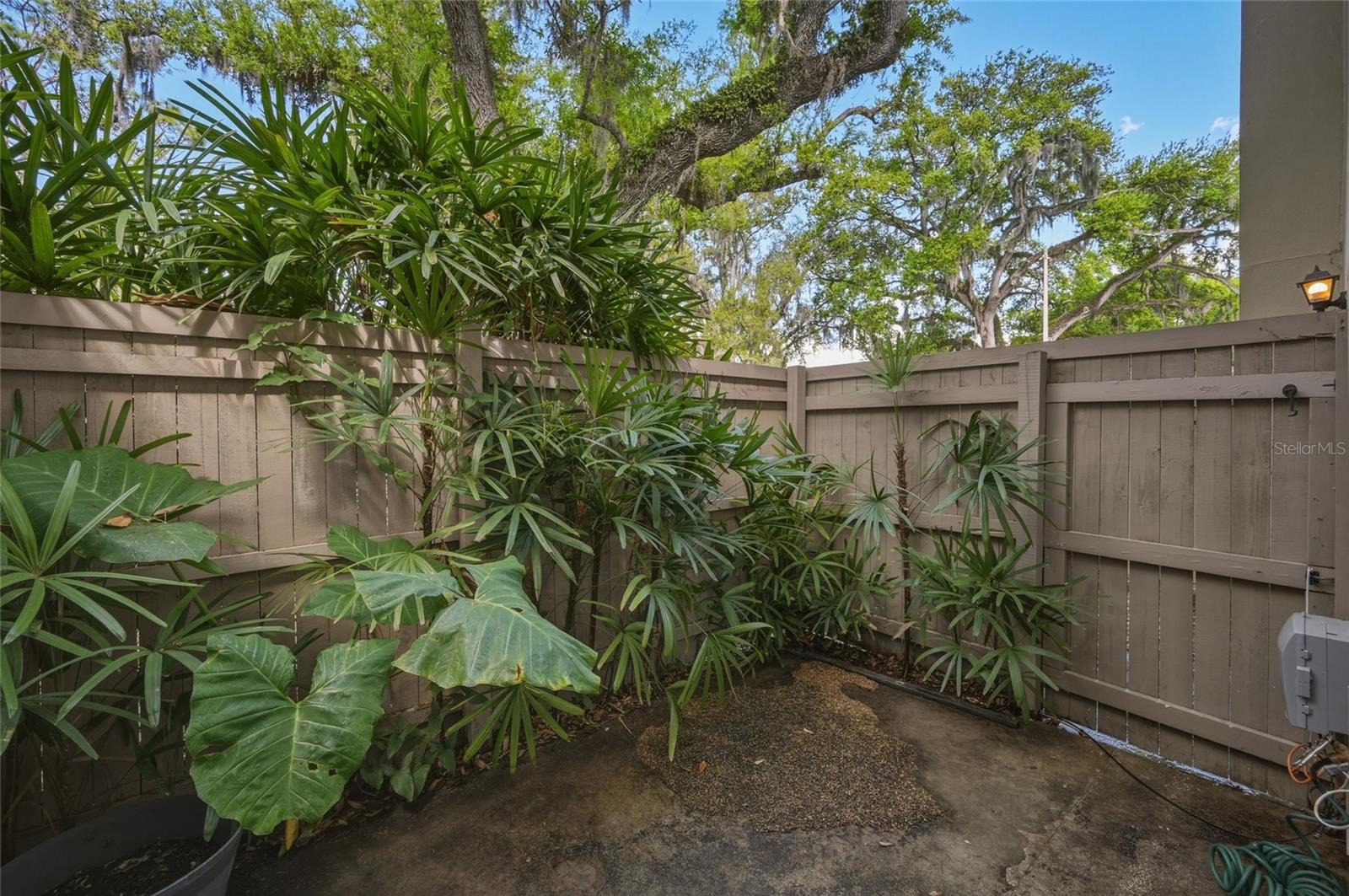 MEADOWOOD CONDO VILLAGE - Residential