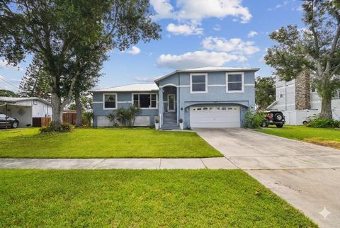 Photo of 317 Shore Drive E, Oldsmar, FL 34677 (MLS # FC315737)