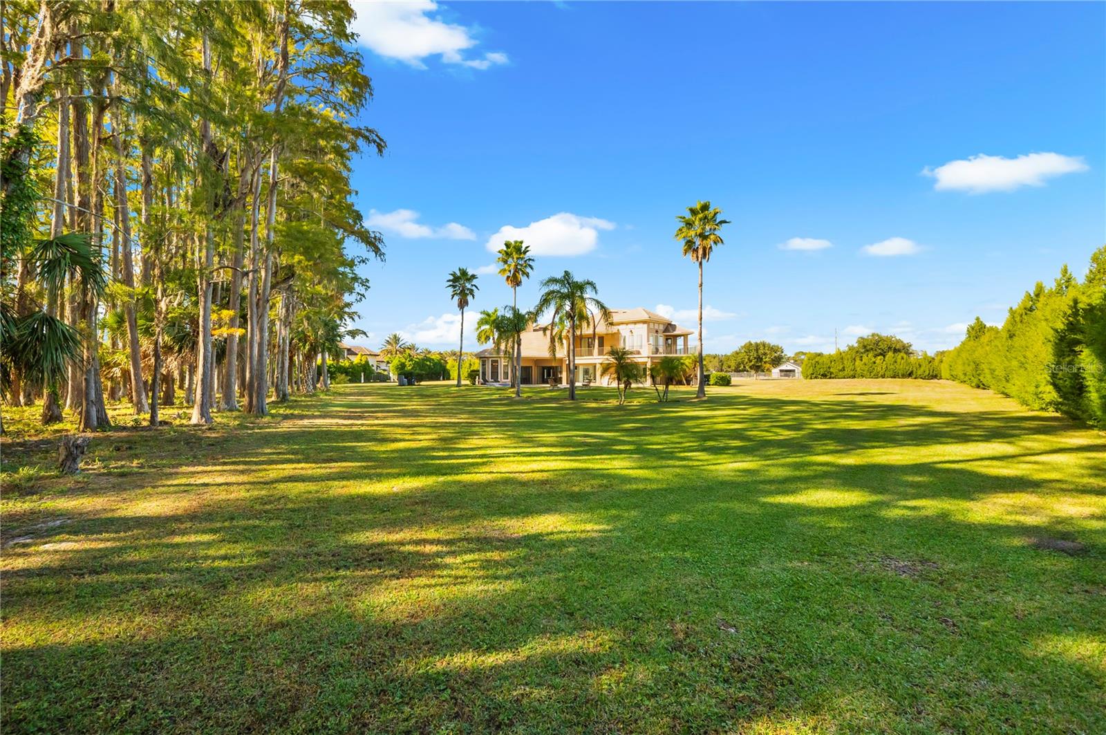 STEEPLECHASE - Residential