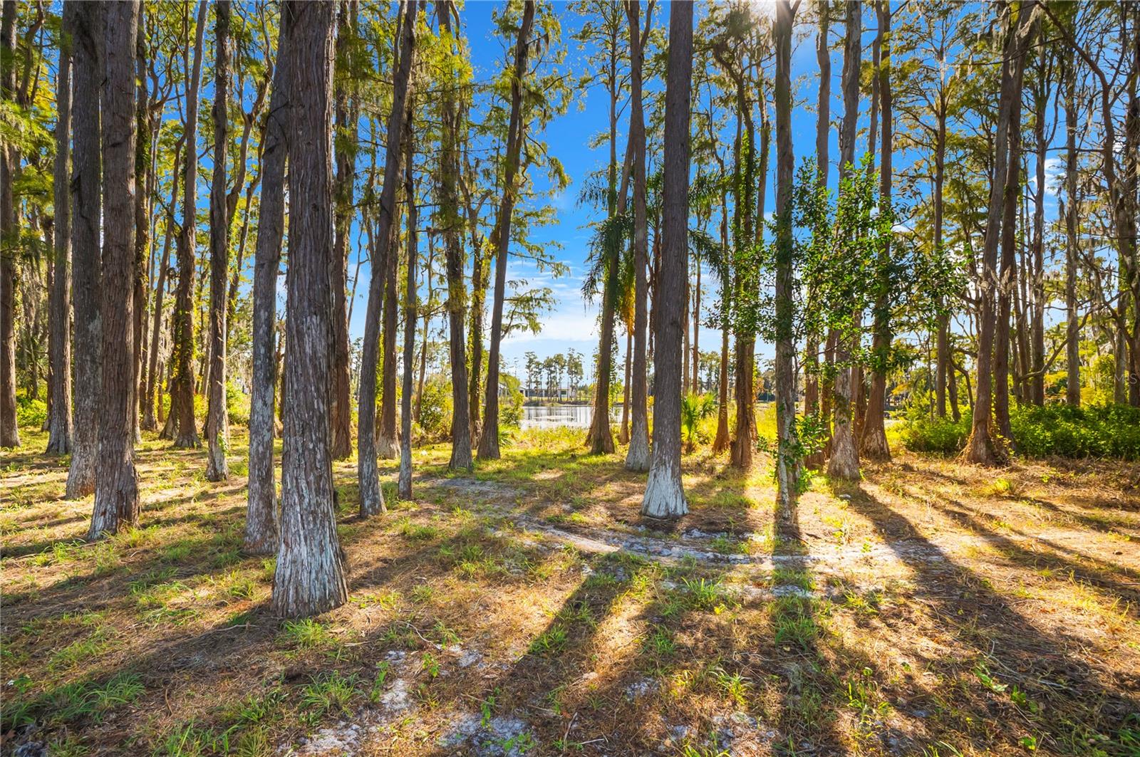 STEEPLECHASE - Residential